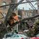 Photo: Melissa McEwen